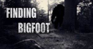 Finding Bigfoot Free Download